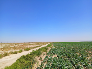 مطلب شماره سه بلاگ