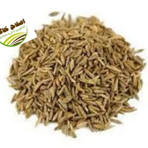 محصول شماره پنج