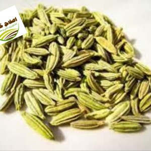 محصول شماره پنج