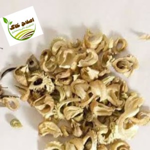 محصول شماره پنج