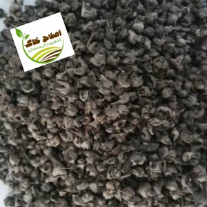 محصول شماره پنج