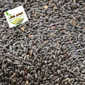 محصول شماره پنج