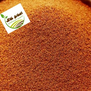 محصول شماره پنج