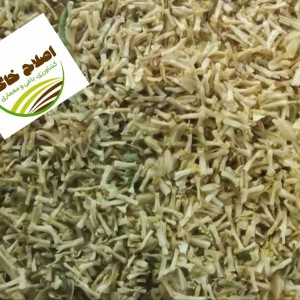 محصول شماره پنج