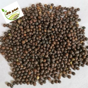 محصول شماره پنج