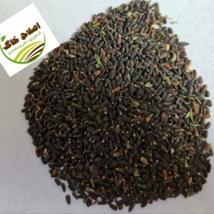 محصول شماره پنج