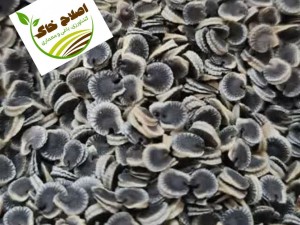 نشا گیاهان دارویی