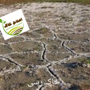 محصول شماره چهار