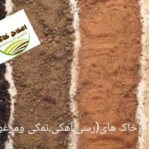 محصول شماره چهار