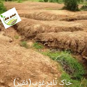 محصول شماره چهار