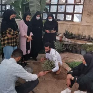 آموزش کشت آنلاین .حضوری