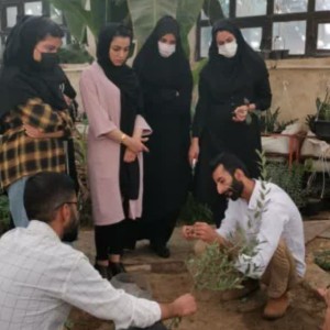 آموزش کشت آنلاین .حضوری