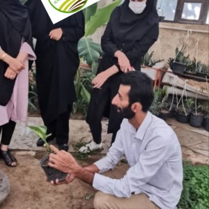 آموزش کشت آنلاین .حضوری