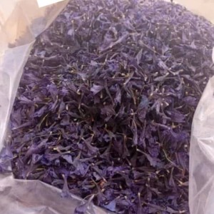 گیاهان دارویی