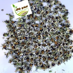 گیاهان دارویی