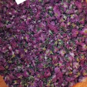 گیاهان دارویی