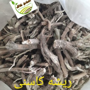 گیاهان دارویی