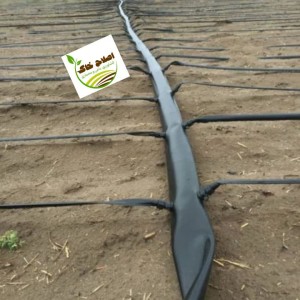 طراحی واجرای سیستم آبیاری قطره ای