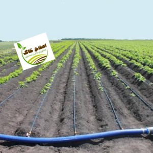 طراحی واجرای سیستم آبیاری قطره ای