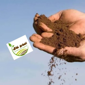 مشاوره وراهنمایی