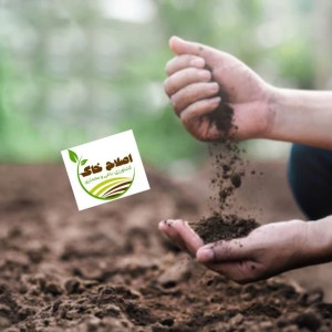 مشاوره وراهنمایی