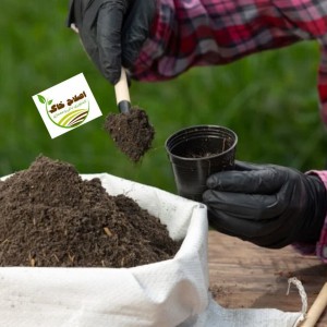 مشاوره وراهنمایی