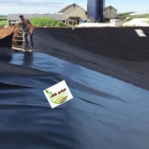 مشاوره وراهنمایی