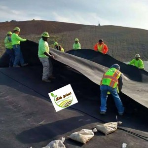 مشاوره وراهنمایی