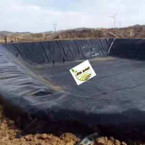 مشاوره وراهنمایی