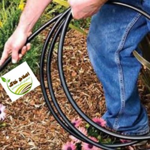 مشاوره وراهنمایی