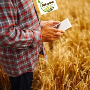 مشاوره وراهنمایی