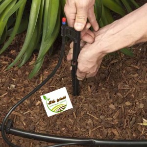 مشاوره وراهنمایی