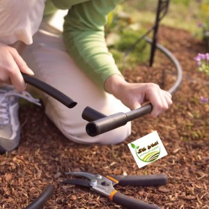 مشاوره وراهنمایی