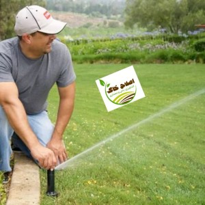 مشاوره وراهنمایی