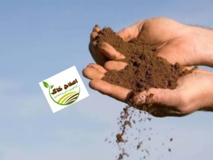 مشاوره وراهنمایی