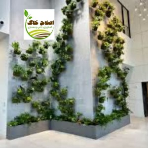 طراحی واجرای انواع گرین وال