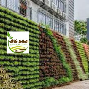 طراحی واجرای انواع گرین وال