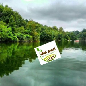 طراحی واجرای پارک جنگلی