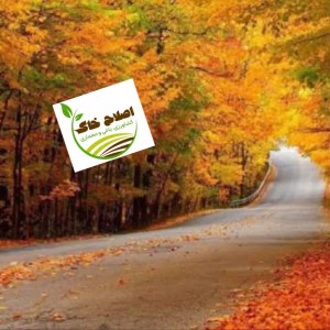 طراحی واجرای پارک جنگلی