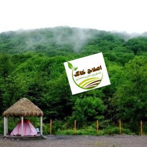 طراحی واجرای پارک جنگلی