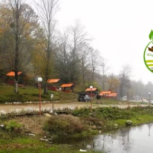 طراحی واجرای پارک جنگلی