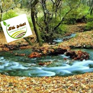 طراحی واجرای پارک جنگلی