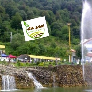 طراحی واجرای پارک جنگلی