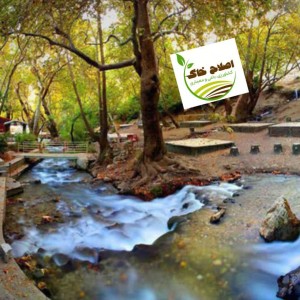 طراحی واجرای پارک جنگلی