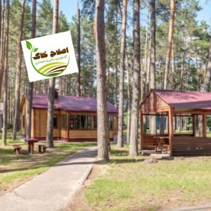 طراحی واجرای پارک جنگلی