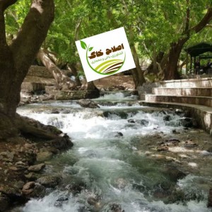 طراحی واجرای پارک جنگلی