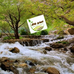 طراحی واجرای پارک جنگلی