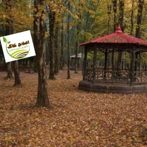 طراحی واجرای پارک جنگلی