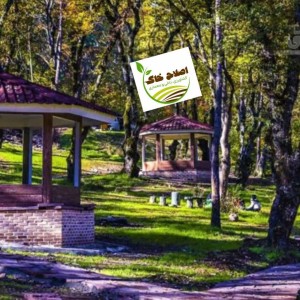 طراحی واجرای پارک جنگلی