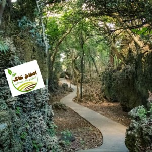 طراحی واجرای پارک جنگلی